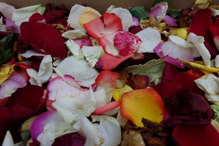 DSC04455 Custom Custom